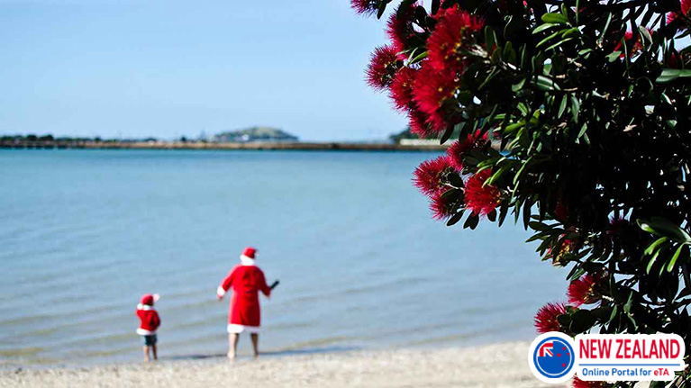 Christmas-in-New-Zealand