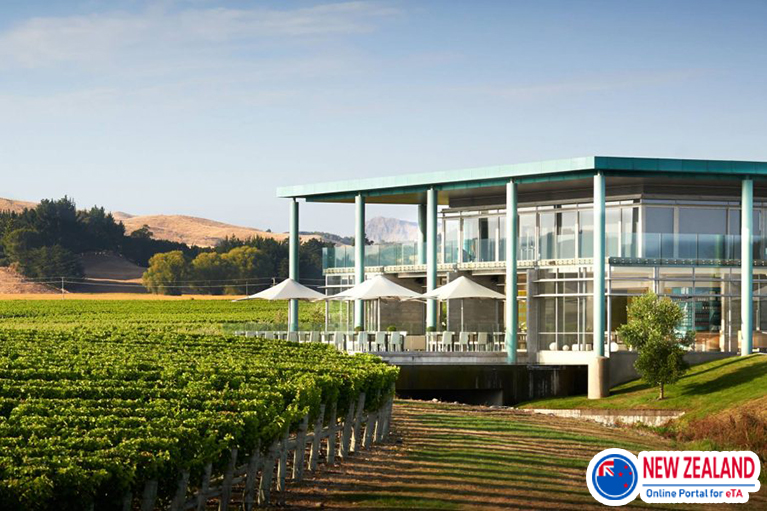 New-Zealand-winery-restaurant