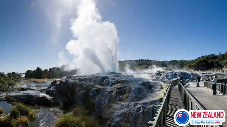 Rotorua-bubbling-mud-pools