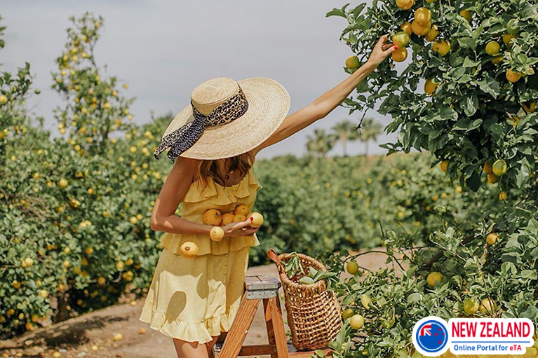 Picking-your-own-fruit