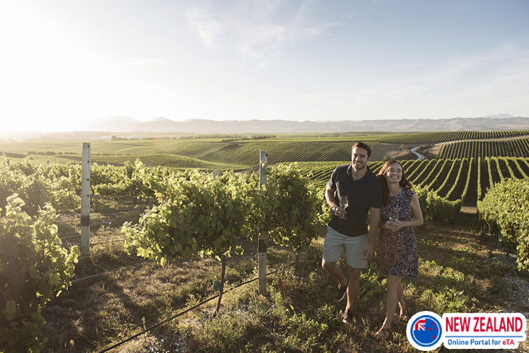 Walking along wine fields