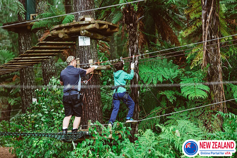 Adrenalin-Forest-New-Zealand